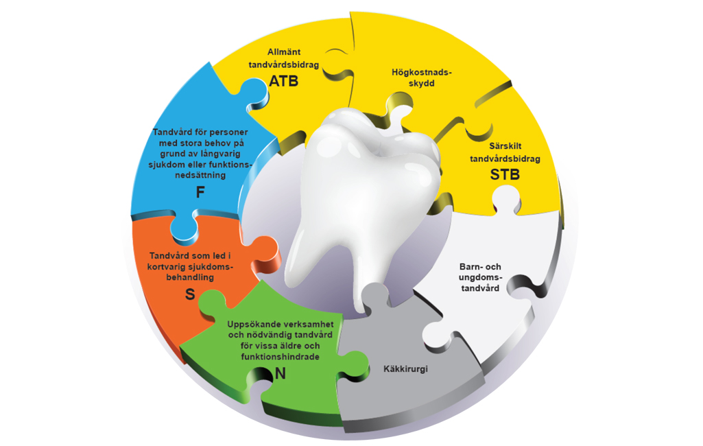 N F S Stb Vad Ar Det Kurs Sveriges Tandlakarforbund